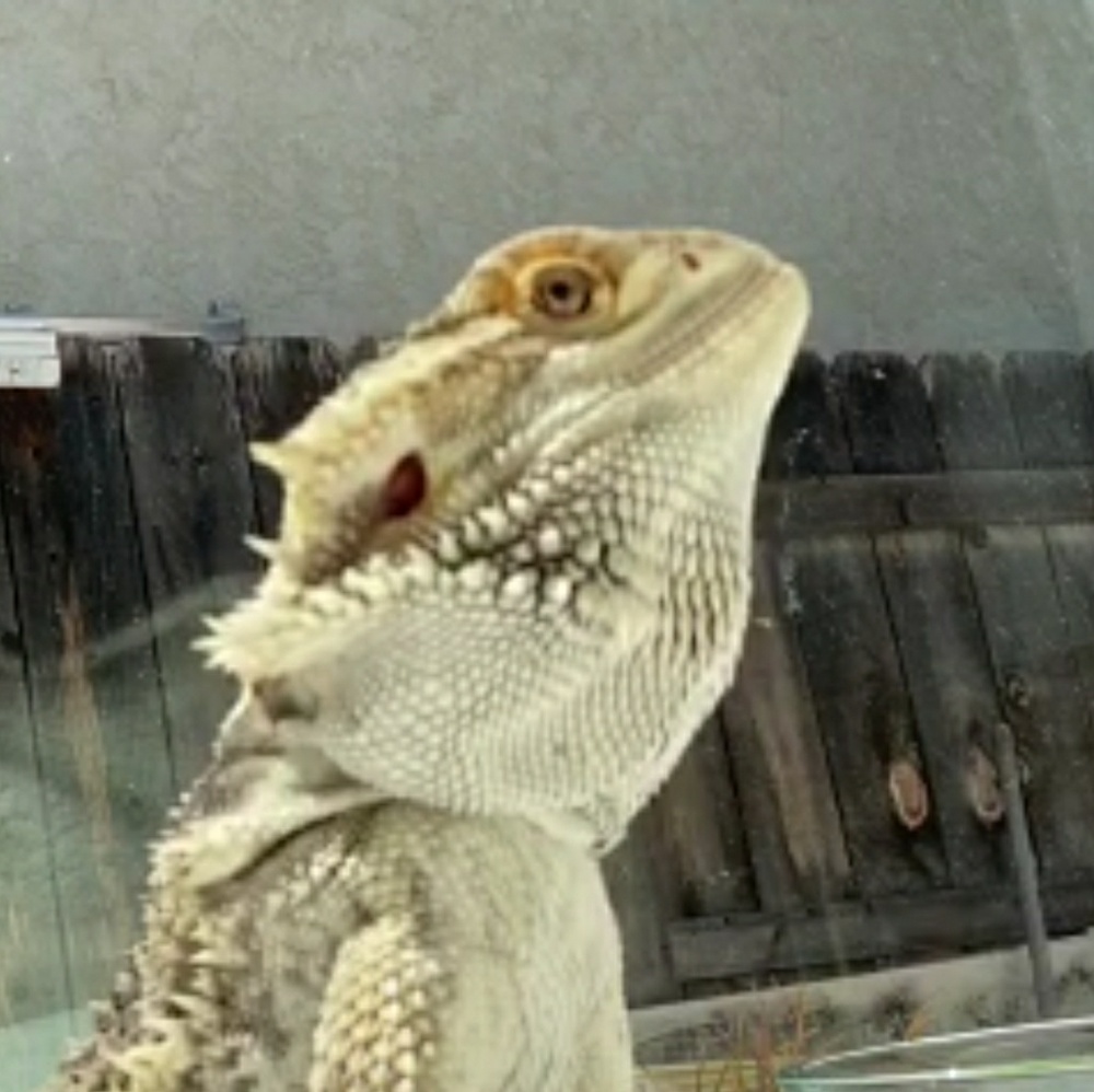 Meet your Posher, Aaron